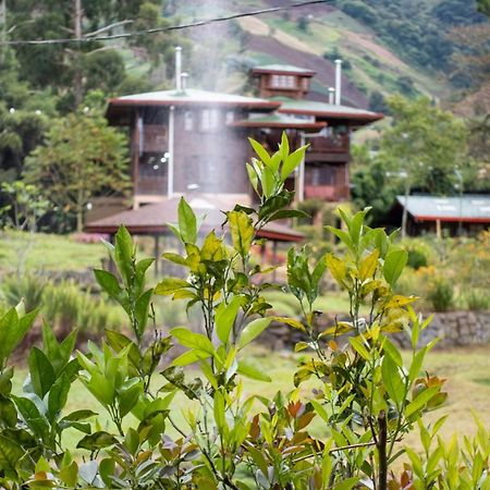 Los Quetzales Ecolodge & Spa Cerro Punta Kültér fotó