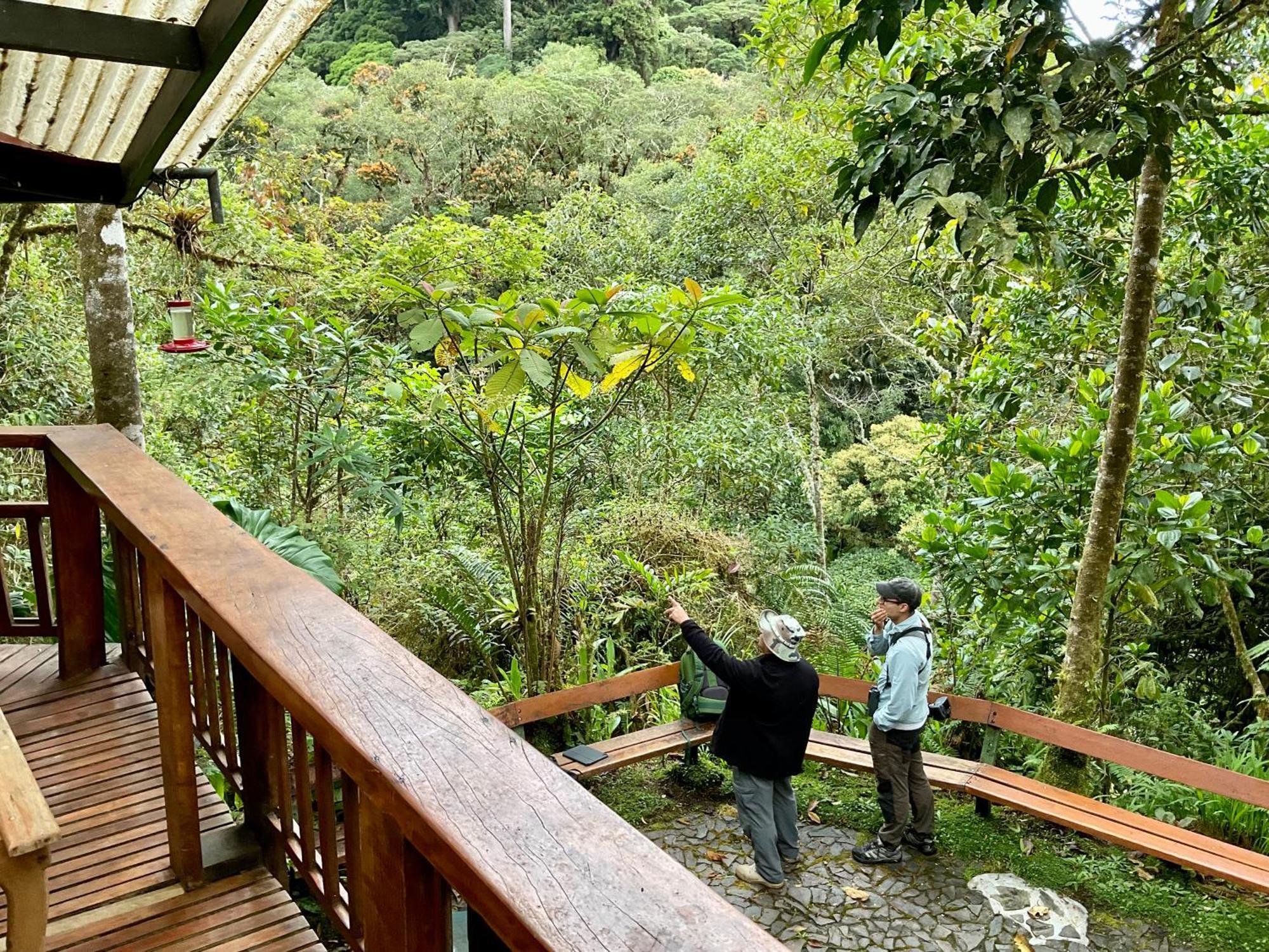 Los Quetzales Ecolodge & Spa Cerro Punta Kültér fotó
