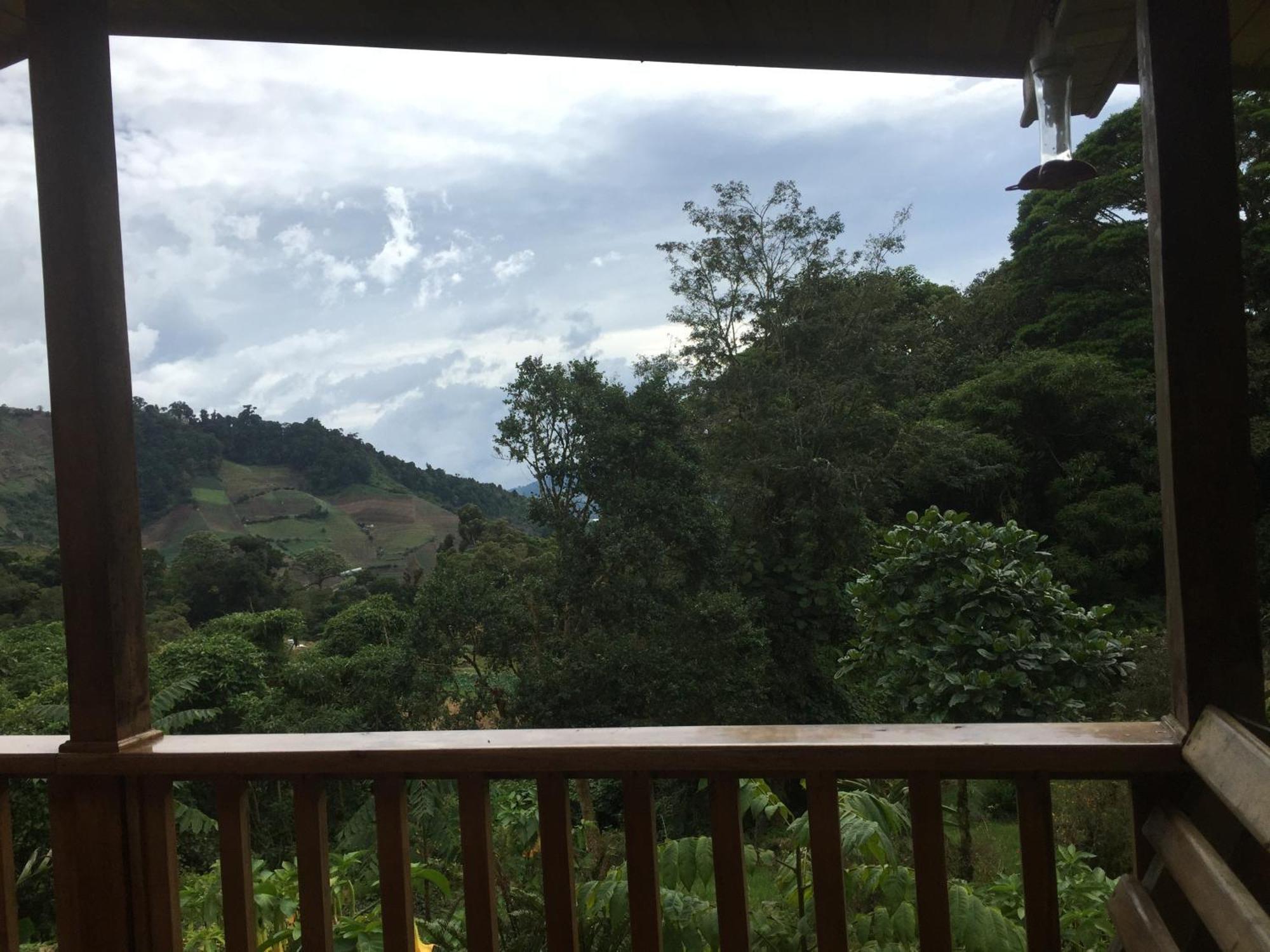 Los Quetzales Ecolodge & Spa Cerro Punta Kültér fotó