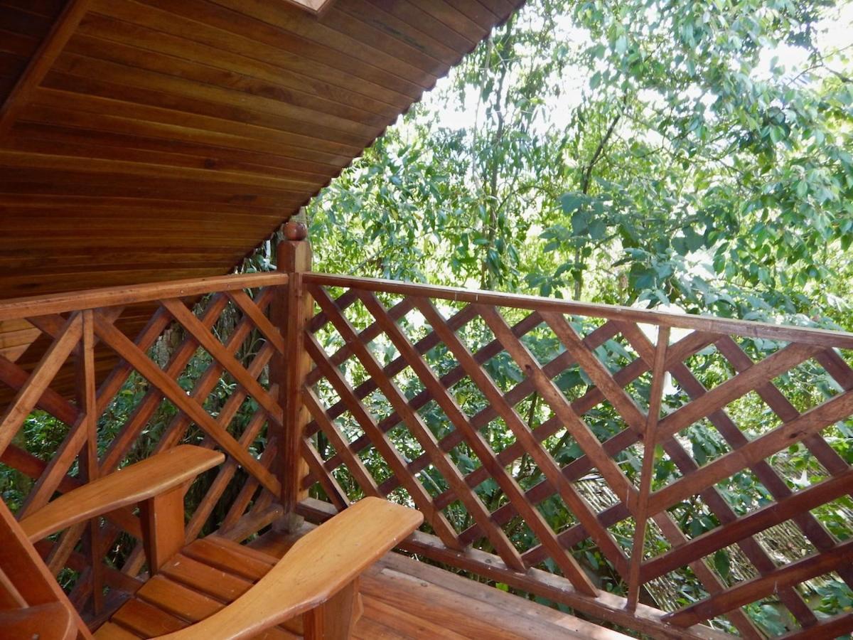 Los Quetzales Ecolodge & Spa Cerro Punta Kültér fotó