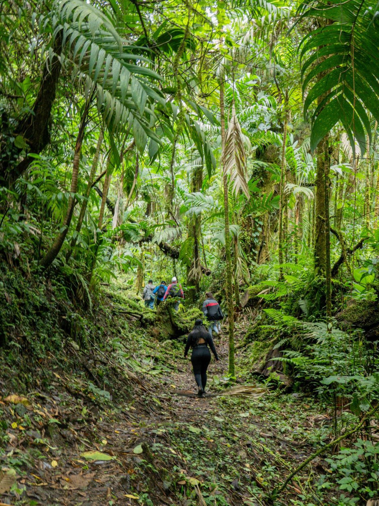 Los Quetzales Ecolodge & Spa Cerro Punta Kültér fotó